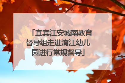 宜宾江安城南教育督导组走进淯江幼儿园进行常规督导