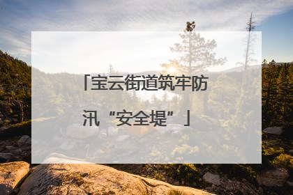 宝云街道筑牢防汛“安全堤”