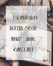 宝鸡市金台区打造“心灵驿站” 深化心防工程