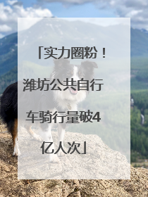 实力圈粉！潍坊公共自行车骑行量破4亿人次