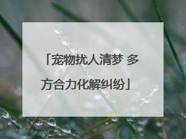 宠物扰人清梦 多方合力化解纠纷