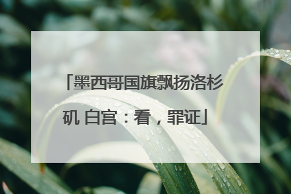 墨西哥国旗飘扬洛杉矶 白宫：看，罪证
