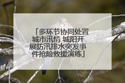 多环节协同处置城市汛情 城阳开展防汛排水突发事件抢险救援演练