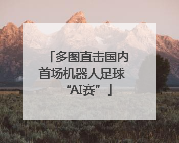 多图直击国内首场机器人足球“AI赛”