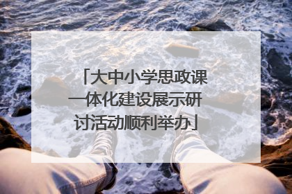 大中小学思政课一体化建设展示研讨活动顺利举办