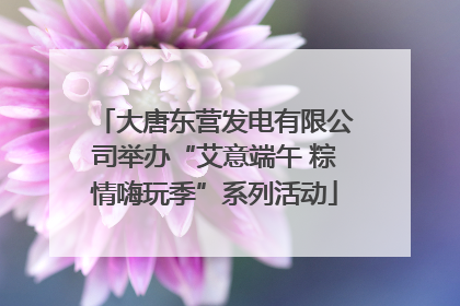 大唐东营发电有限公司举办“艾意端午 粽情嗨玩季”系列活动