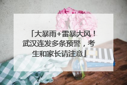 大暴雨+雷暴大风！武汉连发多条预警，考生和家长请注意
