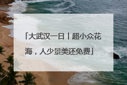 大武汉一日丨超小众花海，人少景美还免费