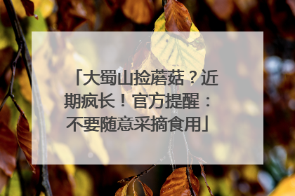 大蜀山捡蘑菇？近期疯长！官方提醒：不要随意采摘食用