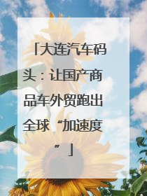 大连汽车码头：让国产商品车外贸跑出全球“加速度”