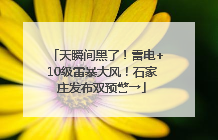 天瞬间黑了！雷电+10级雷暴大风！石家庄发布双预警→