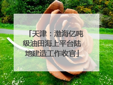 天津：渤海亿吨级油田海上平台陆地建造工作收官