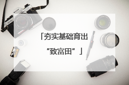 夯实基础育出“致富田”