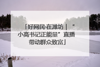 好网民·在潍坊｜“小高书记正能量”直播 带动群众致富