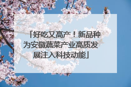 好吃又高产！新品种为安徽蔬菜产业高质发展注入科技动能