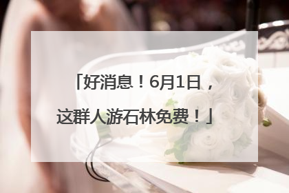 好消息！6月1日，这群人游石林免费！