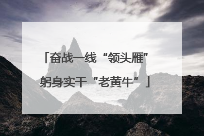 奋战一线“领头雁” 躬身实干“老黄牛”