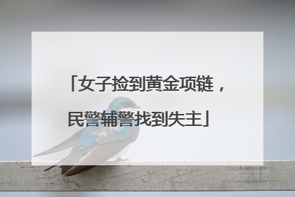 女子捡到黄金项链，民警辅警找到失主