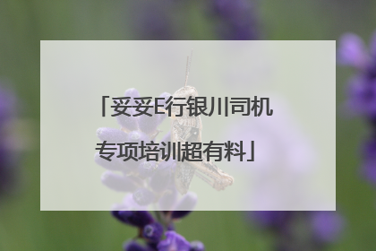 妥妥E行银川司机专项培训超有料