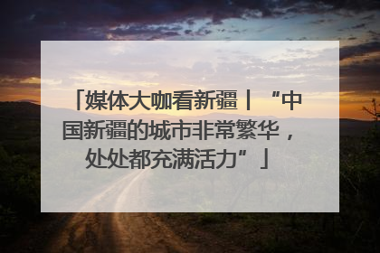 媒体大咖看新疆丨“中国新疆的城市非常繁华，处处都充满活力”