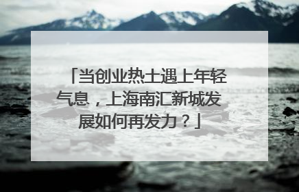 当创业热土遇上年轻气息，上海南汇新城发展如何再发力？