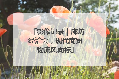 影像记录｜廊坊经洽会，现代商贸物流风向标