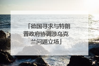德国寻求与特朗普政府协调涉乌克兰问题立场
