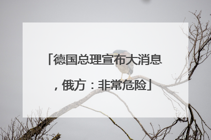 德国总理宣布大消息，俄方：非常危险