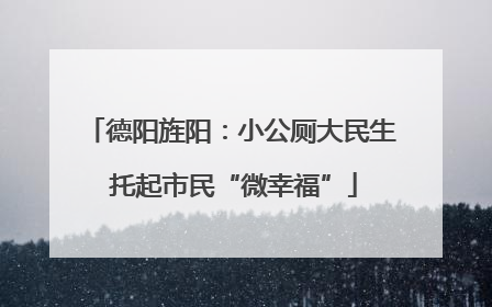 德阳旌阳：小公厕大民生 托起市民“微幸福”