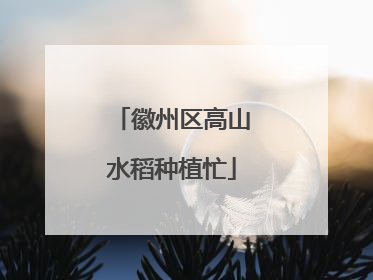 徽州区高山水稻种植忙