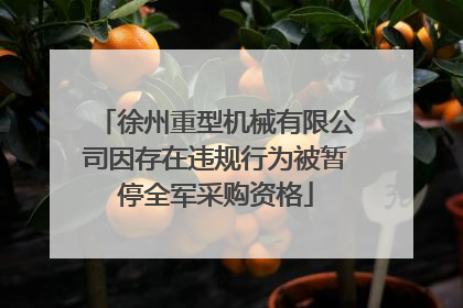 徐州重型机械有限公司因存在违规行为被暂停全军采购资格