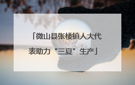 微山县张楼镇人大代表助力“三夏”生产