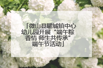 微山县驩城镇中心幼儿园开展“端午粽香情 师生共传承”端午节活动