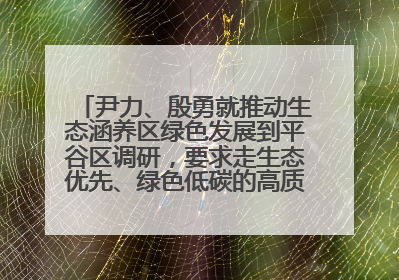 尹力、殷勇就推动生态涵养区绿色发展到平谷区调研，要求走生态优先、绿色低碳的高质量发展之路