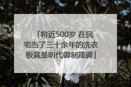 将近500岁 在民宅当了三十余年的洗衣板竟是明代御制箴碑