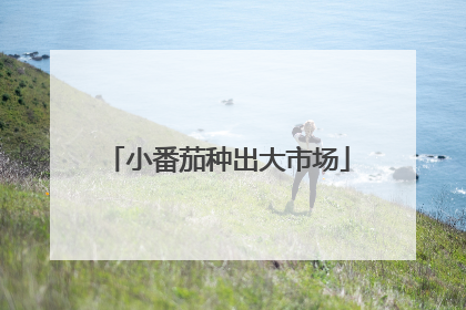 小番茄种出大市场
