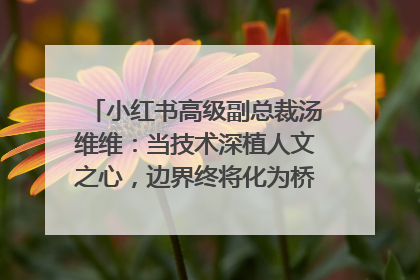 小红书高级副总裁汤维维：当技术深植人文之心，边界终将化为桥梁｜聚焦2025文化强国建设高峰论坛