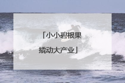 小小碧根果撬动大产业