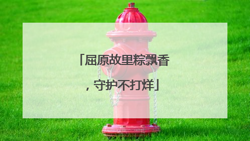 屈原故里粽飘香，守护不打烊