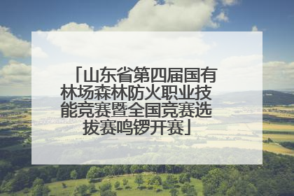 山东省第四届国有林场森林防火职业技能竞赛暨全国竞赛选拔赛鸣锣开赛