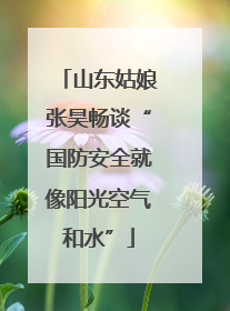 山东姑娘张昊畅谈“国防安全就像阳光空气和水”