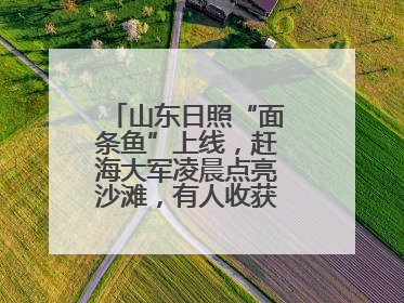 山东日照“面条鱼”上线，赶海大军凌晨点亮沙滩，有人收获满满一桶鱼