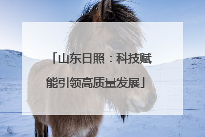 山东日照：科技赋能引领高质量发展