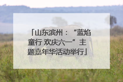 山东滨州：“蓝焰童行 欢庆六一”主题嘉年华活动举行