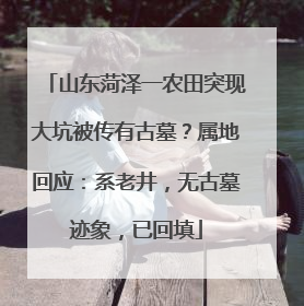 山东菏泽一农田突现大坑被传有古墓？属地回应：系老井，无古墓迹象，已回填
