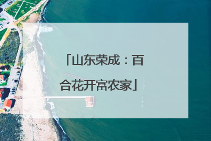山东荣成：百合花开富农家