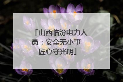 山西临汾电力人员：安全无小事 匠心守光明
