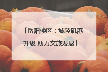 岳阳楼区：城陵矶港升级 助力文旅发展