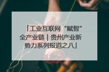 工业互联网“赋智”全产业链｜贵州产业新势力系列报道之八