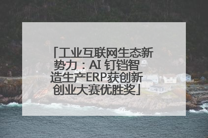 工业互联网生态新势力：AI 钉铛智造生产ERP获创新创业大赛优胜奖